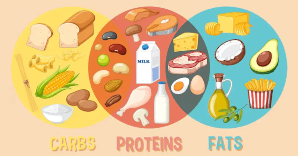 Cookout Nutritional Information